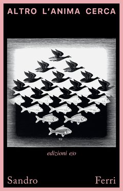 Cover: Altro l'anima cerca - Sandro Ferri